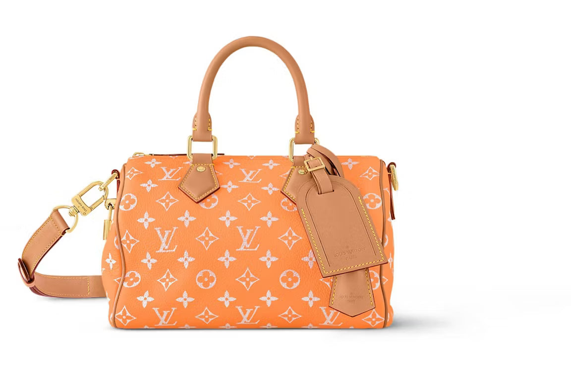 Inspired  Speedy satchel