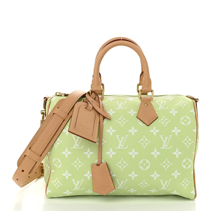 Inspired  Speedy satchel