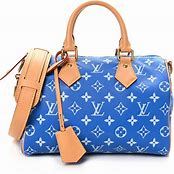 Inspired  Speedy satchel